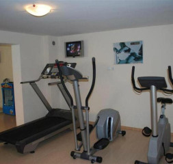 Sport_Gym_1.jpg