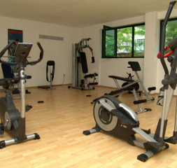 Sport_Gym.jpg