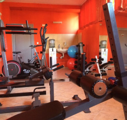 Sport_Gym_3.jpeg