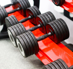 Sport_Gym_3.jpg