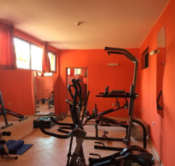 Sport_Gym_5.jpeg