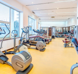 Sport_Gym.jpg