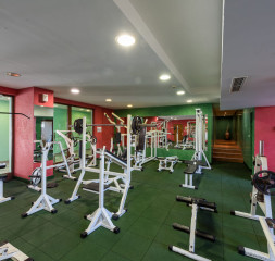 Sport_Gym.jpg