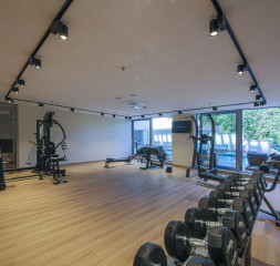 Sport_Gym.jpg
