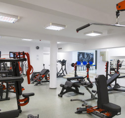 Sport_Gym.jpg