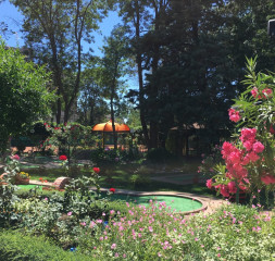Sport_Mini_Golf_2.jpg