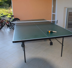 Sport_Tennis_1.jpg