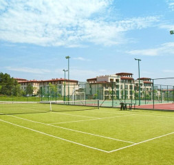Sport_Tennis.jpg
