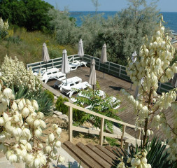 Sun_Terrace.jpg
