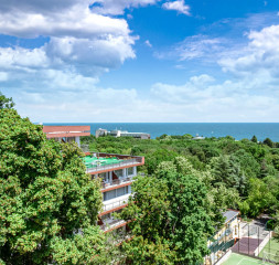 Terrace_View.jpg
