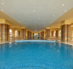 Wellness_2.jpg