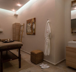 Wellness_Massage.jpg