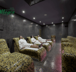 Wellness_Spa.png