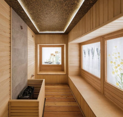 Wellness_Spa_1.jpg