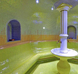 Wellness_Spa_1.jpg
