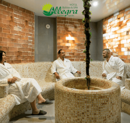Wellness_Spa_6.png