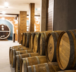 Wine_Museum__Bar.jpg
