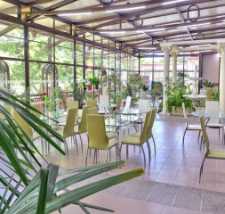 Winter_Garden_1.jpg