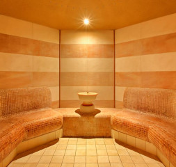 aroma-steam-bath.jpg