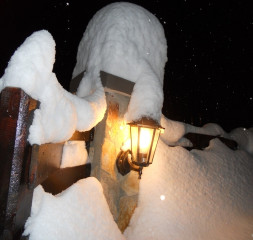 dscn0202.jpg