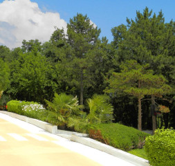 hotel-zora-sunny-beach-pic-54.jpg