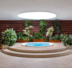 indoor-jacuzzi.jpg
