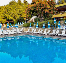 orchideapool.jpg