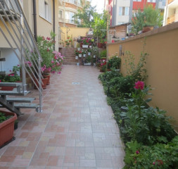p6.jpg