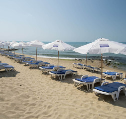 zBeach_1.jpg